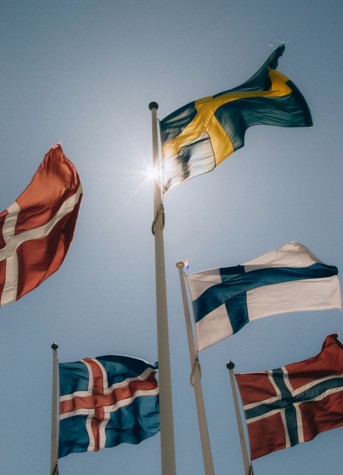 Flags of Nordic countries flutter against a clear blue sky, symbolizing unity.